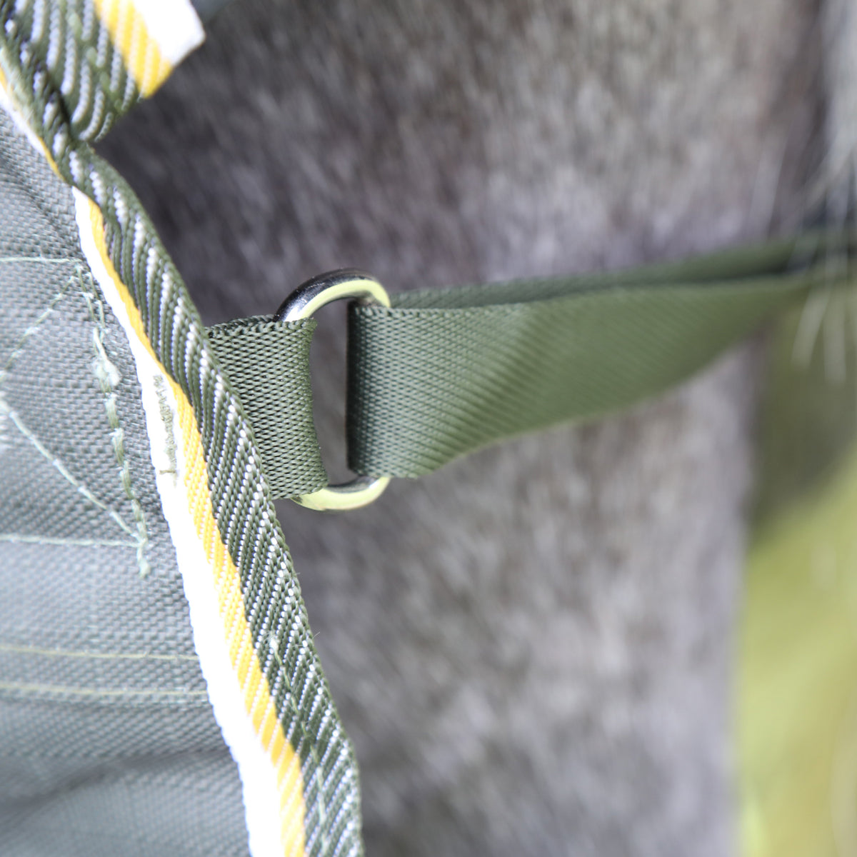 Shires Highlander Plus Combo 50g