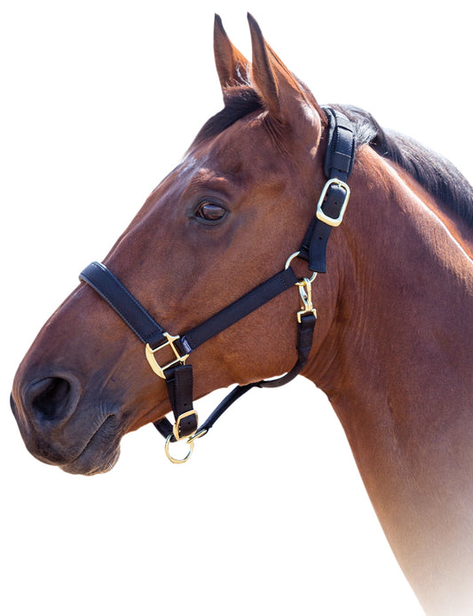 Shires Topaz Nylon Halter