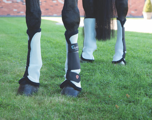 Shires ARMA Fly Turnout Socks