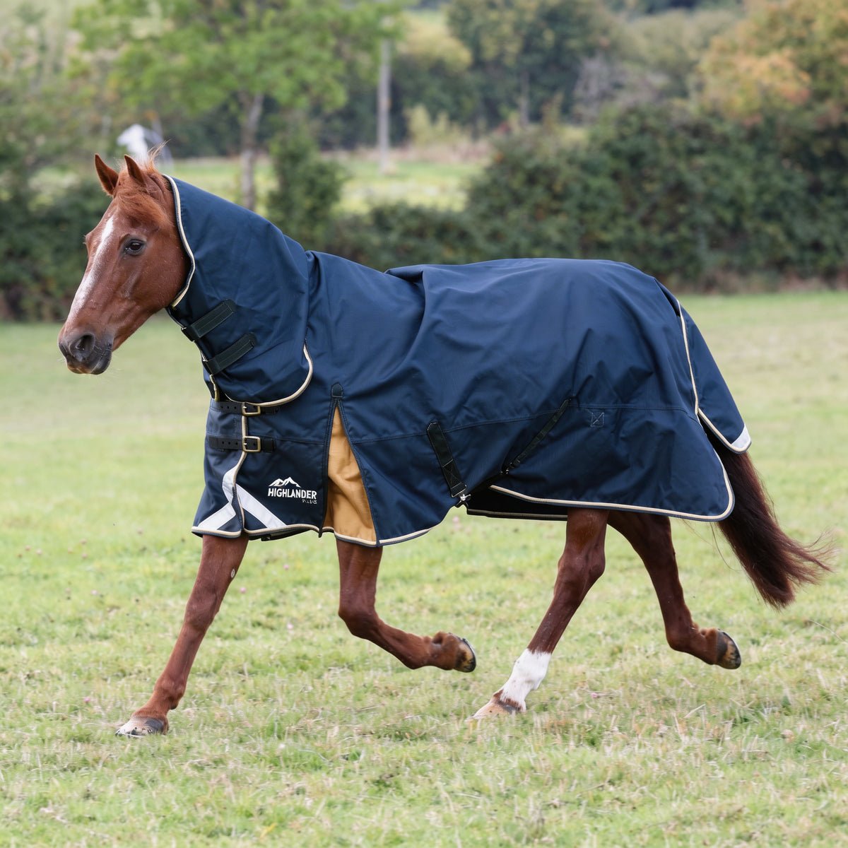 Shires Highlander Plus Combo 300g