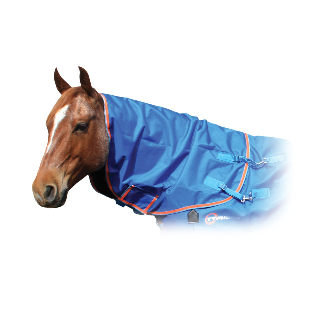 Shires Summer Typhoon Neck Rug