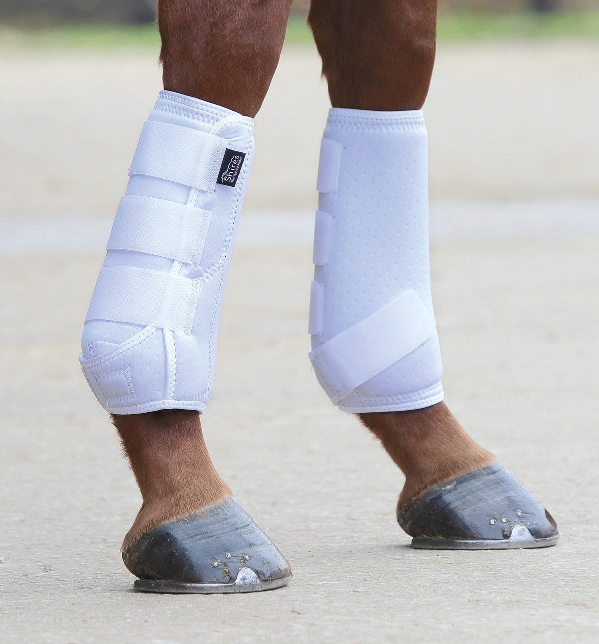 Shires Breathable Sports Boot
