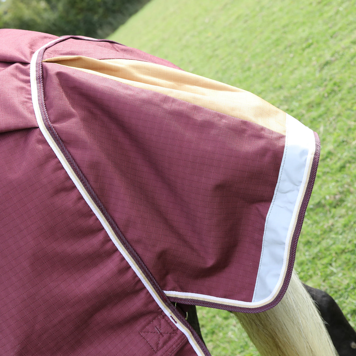 Shires Highlander Plus Combo 100g