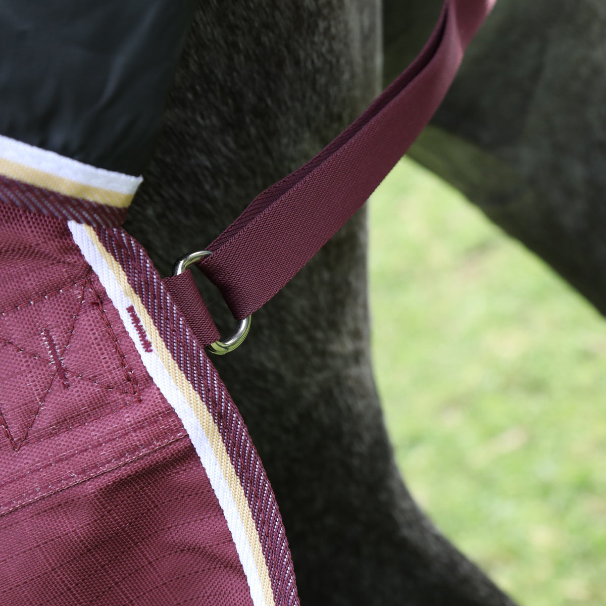 Shires Highlander Plus Combo 100g