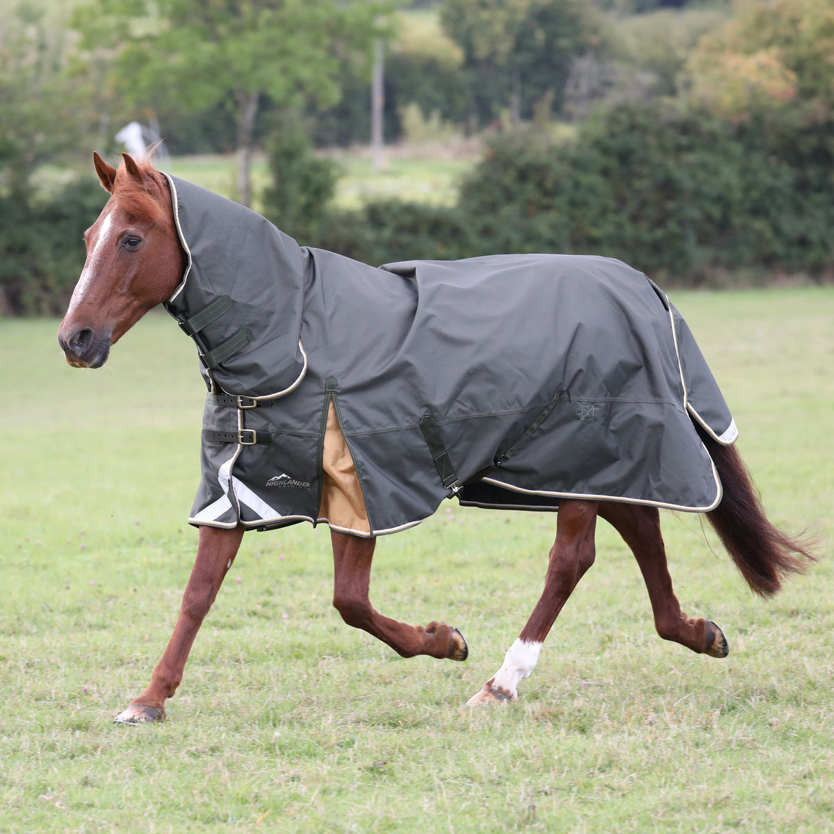 Shires Highlander Plus Combo 50g