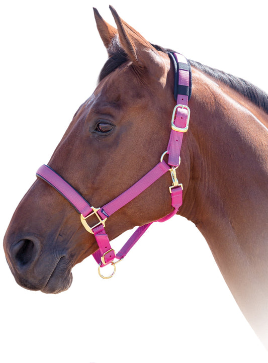 Shires Topaz Nylon Halter