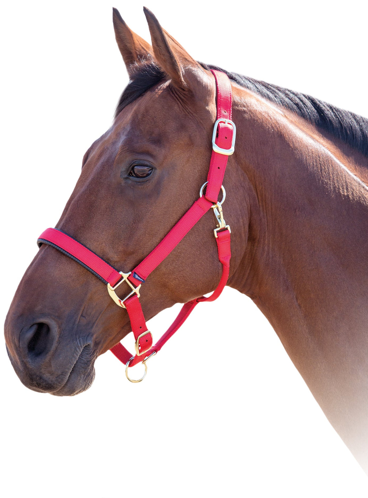 Shires Topaz Nylon Halter