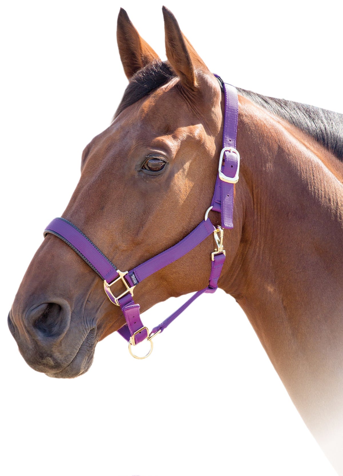 Shires Topaz Nylon Halter