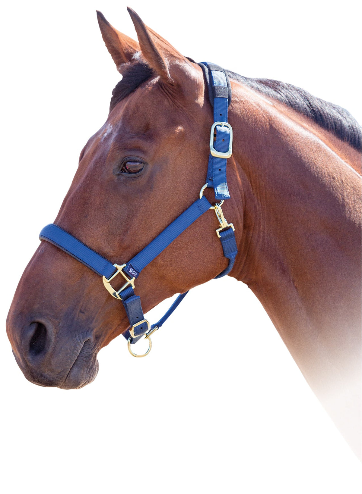 Shires Topaz Nylon Halter