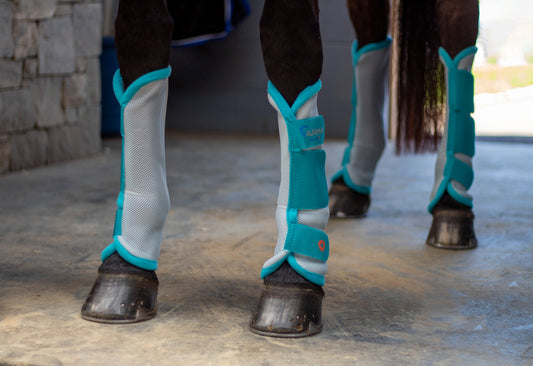 Shires ARMA Fly Turnout Socks