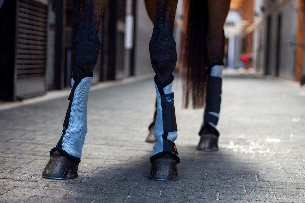 Shires ARMA Fly Turnout Socks