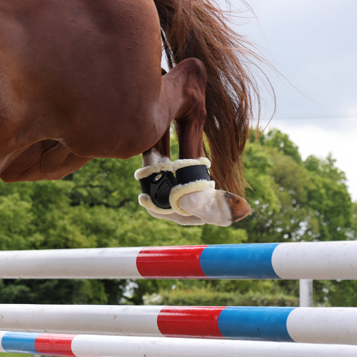 Shires Supafleece Fetlock Boots