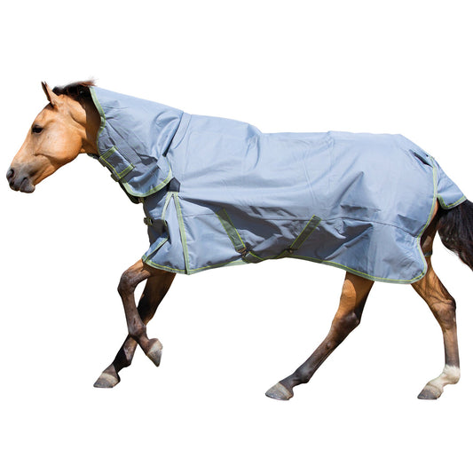 Shires 1200 Equinox Combo
