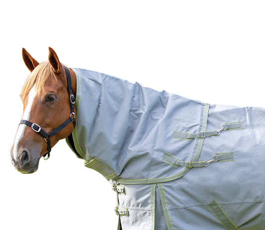 Shires 1200 Equinox Neck