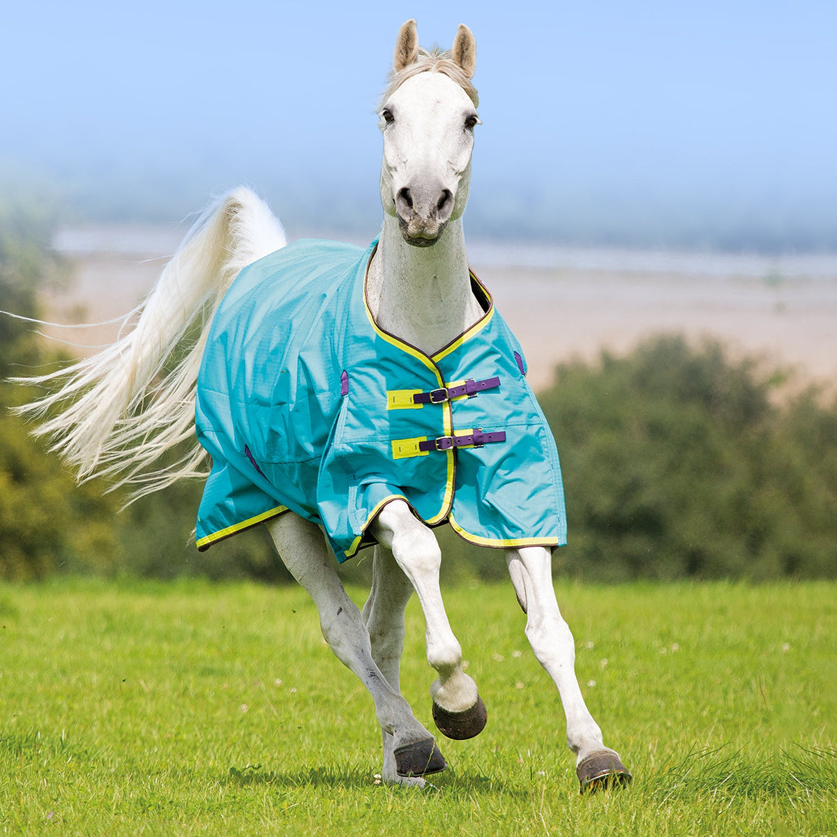 Shires StormBreaker Summer Rug