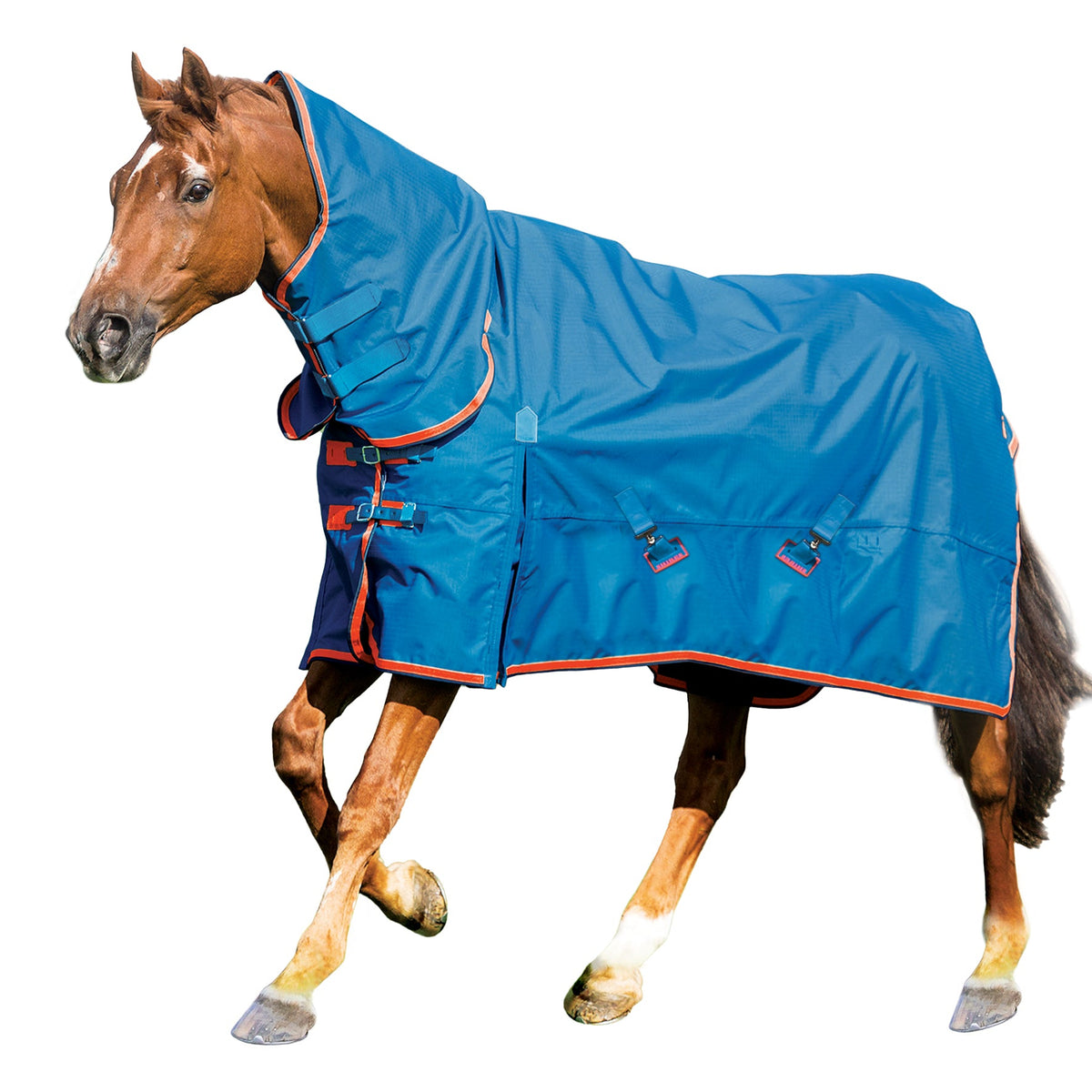 Shires Summer Typhoon Combo