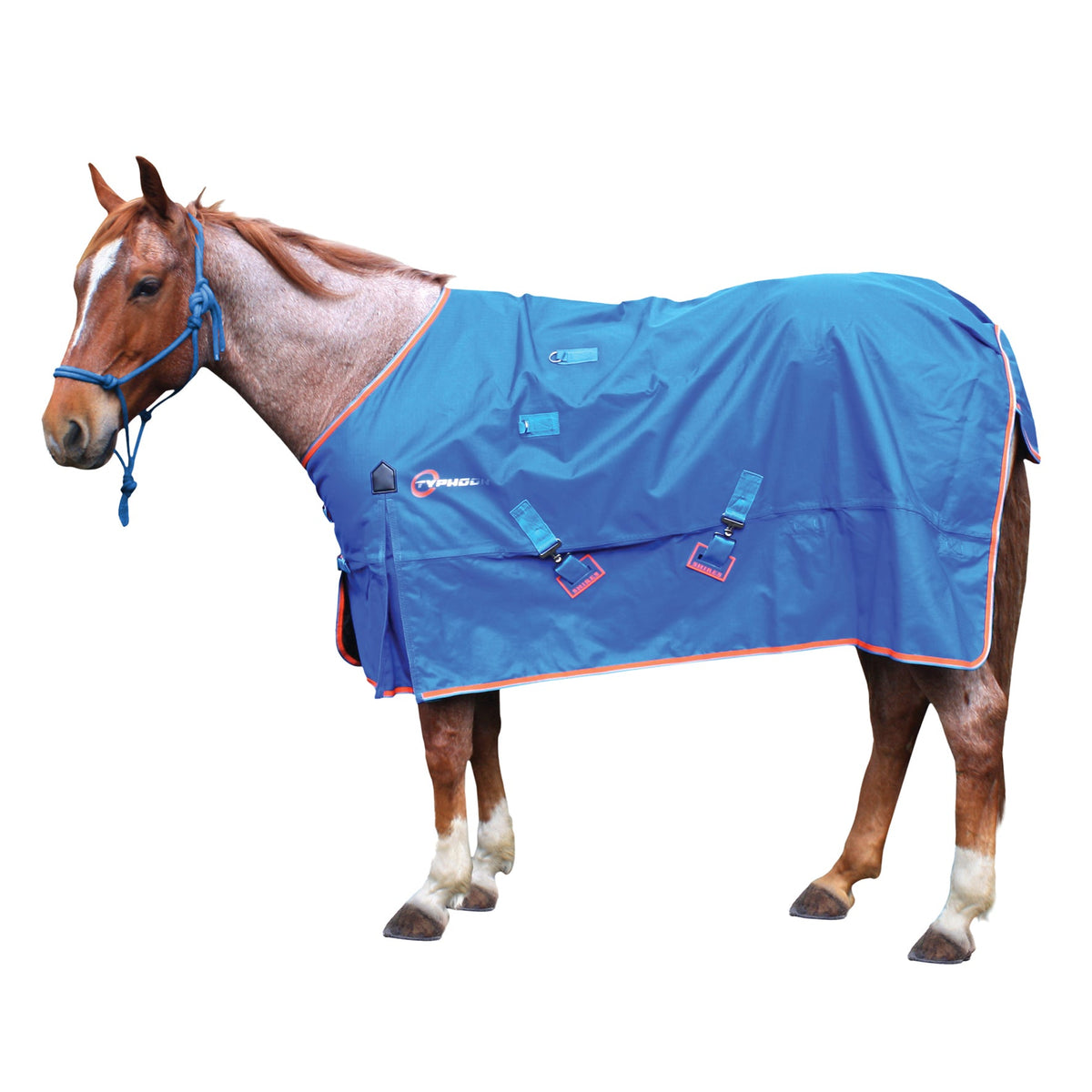 Shires Summer Typhoon Rug Only